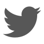 Twitter Icon