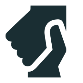Handshake Icon